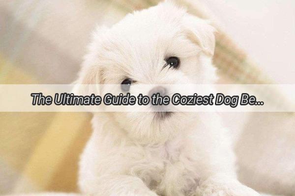 The Ultimate Guide to the Coziest Dog Beds Whats Best for Your Furry Friend